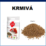 Krmivá