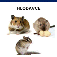 hlodavce