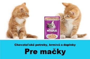 pekný chlpatý čierna mačička