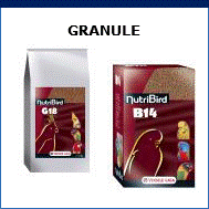 granule