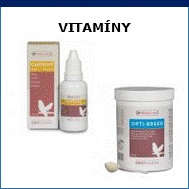 vitamíny